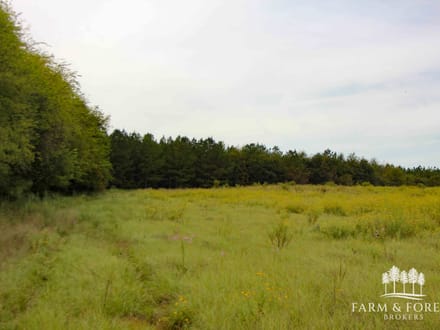 150 Ac ± Henry Co - Ward Creek 