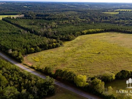 150 Ac ± Henry Co - Ward Creek 