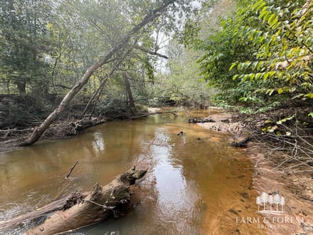 225 Ac ± Henry Co - Abbie Creek East 