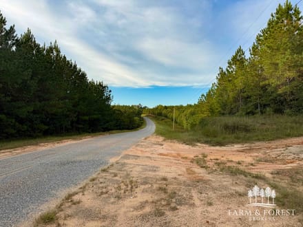 225 Ac ± Henry Co - Abbie Creek East 