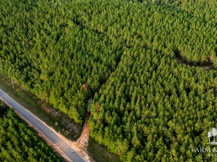 225 Ac ± Henry Co - Abbie Creek East 