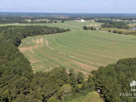 21.5 Ac ± Coffee Co - CR 661 Tract 7 