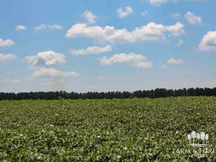 21.5 Ac ± Coffee Co - CR 661 Tract 7 