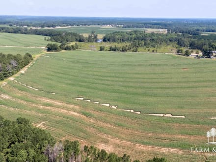21.5 Ac ± Coffee Co - CR 661 Tract 7 