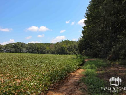 21.5 Ac ± Coffee Co - CR 661 Tract 7 