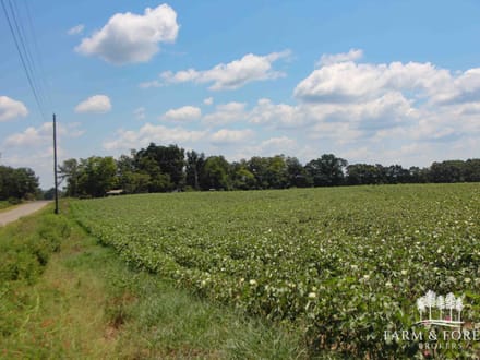21.5 Ac ± Coffee Co - CR 661 Tract 7 