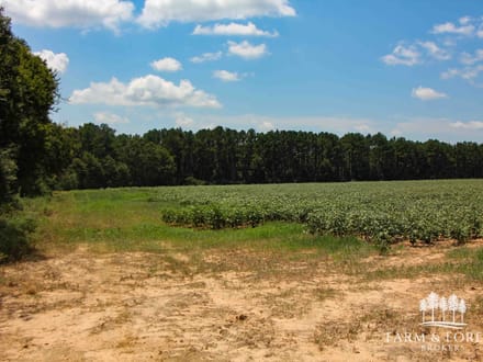 21.5 Ac ± Coffee Co - CR 661 Tract 7 