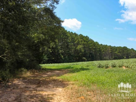 21.5 Ac ± Coffee Co - CR 661 Tract 7 