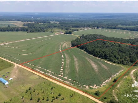 17.5 Ac ± Coffee Co - County Road 676 Farm 
