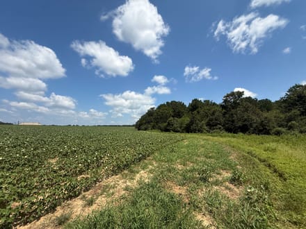 17.5 Ac ± Coffee Co - County Road 676 Farm 