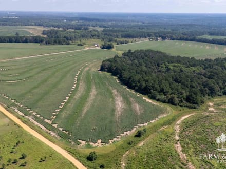 17.5 Ac ± Coffee Co - County Road 676 Farm 