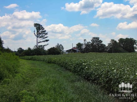 17.5 Ac ± Coffee Co - County Road 676 Farm 