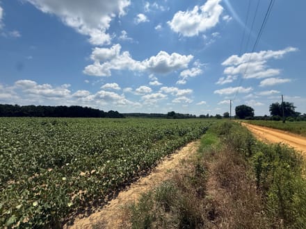 17.5 Ac ± Coffee Co - County Road 676 Farm 