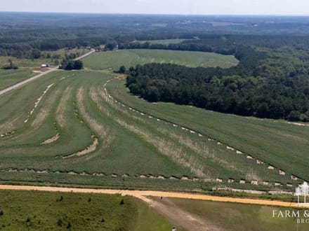 17.5 Ac ± Coffee Co - County Road 676 Farm 
