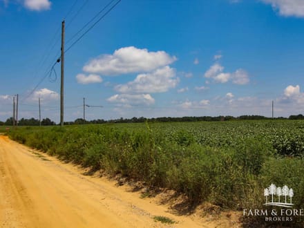 17.5 Ac ± Coffee Co - County Road 676 Farm 