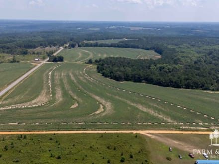 17.5 Ac ± Coffee Co - County Road 676 Farm 