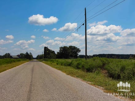5 Ac ± Coffee Co - CR 661 Homesite 