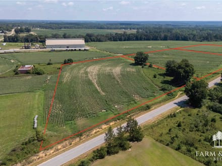 5 Ac ± Coffee Co - CR 661 Homesite 