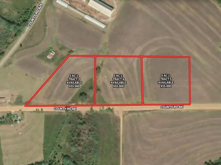 5 Ac ± Coffee Co - CR 661 Homesite 