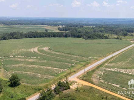 5 Ac ± Coffee Co - CR 661 Homesite 