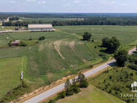 5 Ac ± Coffee Co - CR 661 Homesite 