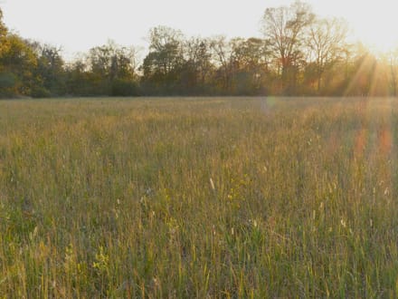 5.08 Acre Build Site in Chapel Hill