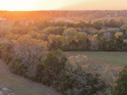 5 Acre Build Site in Chapel Hill