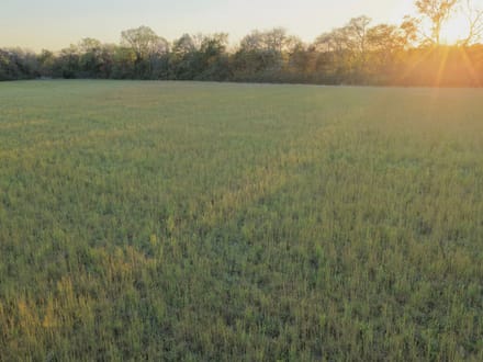 10 Acre Build Site in Chapel Hill