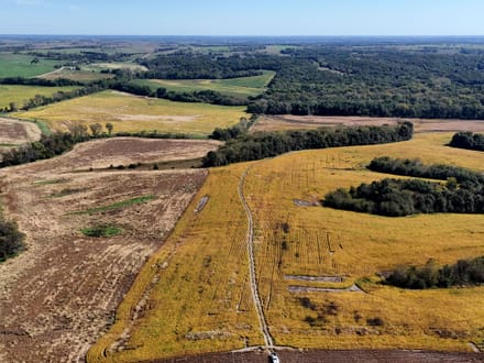 Wide variety of row crop, CRP, timber & ditches
