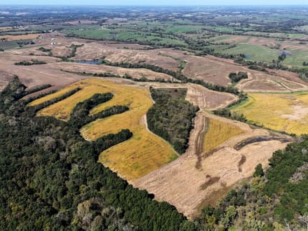 Wide variety of row crop, CRP, timber & ditches