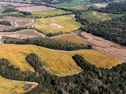 Wide variety of row crop, CRP, timber & ditches