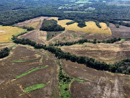 Wide variety of row crop, CRP, timber & ditches