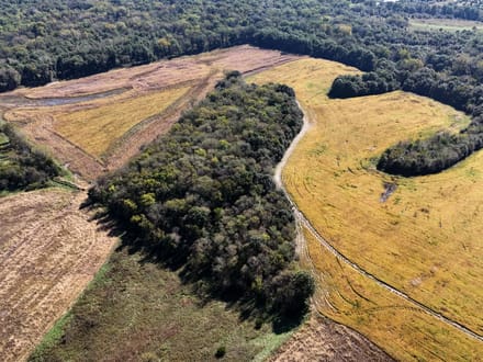 Wide variety of row crop, CRP, timber & ditches