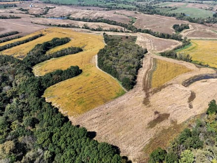 Wide variety of row crop, CRP, timber & ditches