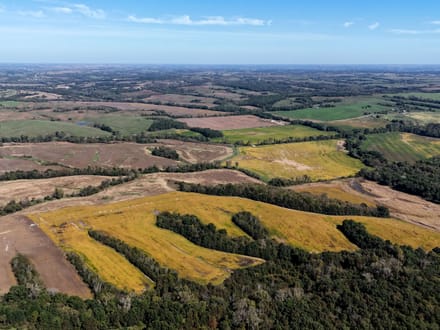 Wide variety of row crop, CRP, timber & ditches