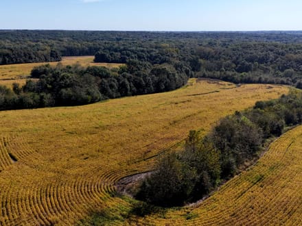 Wide variety of row crop, CRP, timber & ditches