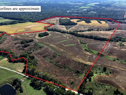 Wide variety of row crop, CRP, timber & ditches