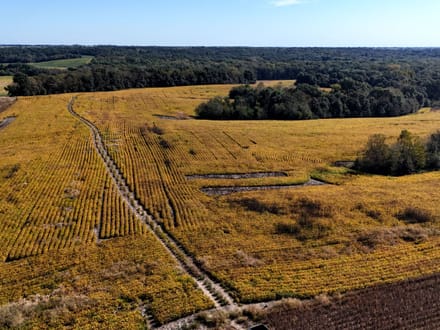 Wide variety of row crop, CRP, timber & ditches
