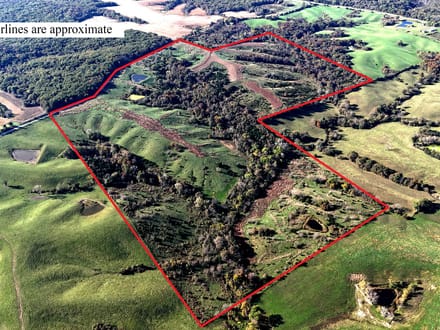 Full turnkey hunting farm-130 acres m/l, Putnam Co., MO