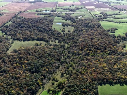  So. Ia Whitetail Hunting/Pasture Farm