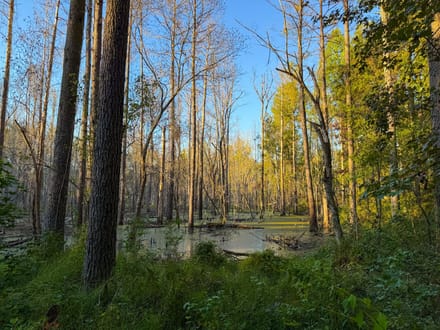 Clark Creek
