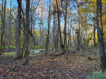 Clark Creek