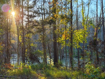Clark Creek