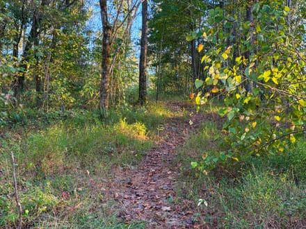 Clark Creek