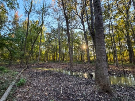 Clark Creek