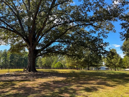 Legacy Woods