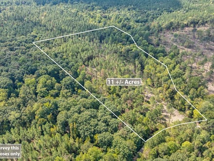 11 +/- Acres on Adolphus Callaway Road | Creek Frontage & Homesite Potential