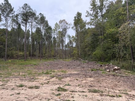 11 +/- Acres on Adolphus Callaway Road | Creek Frontage & Homesite Potential