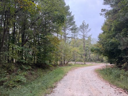 11 +/- Acres on Adolphus Callaway Road | Creek Frontage & Homesite Potential
