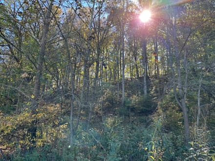 Buck Creek 105